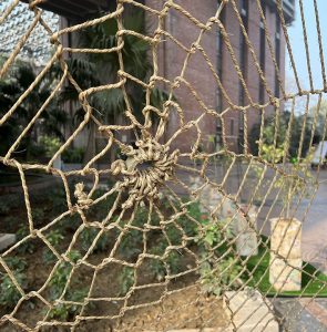 The Web of Life Installation